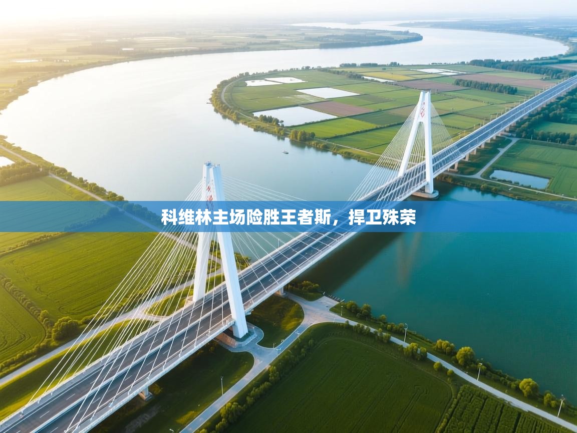 科维林主场险胜王者斯，捍卫殊荣  第1张