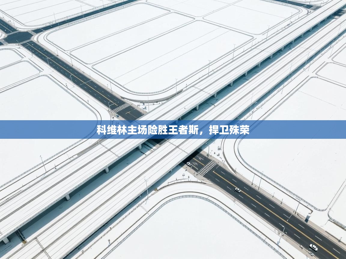 科维林主场险胜王者斯，捍卫殊荣  第2张