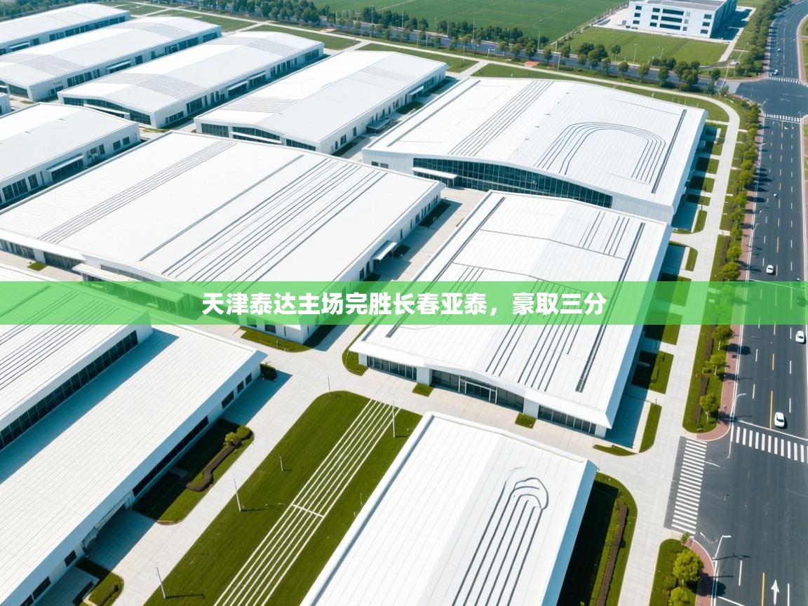 天津泰达主场完胜长春亚泰，豪取三分  第1张