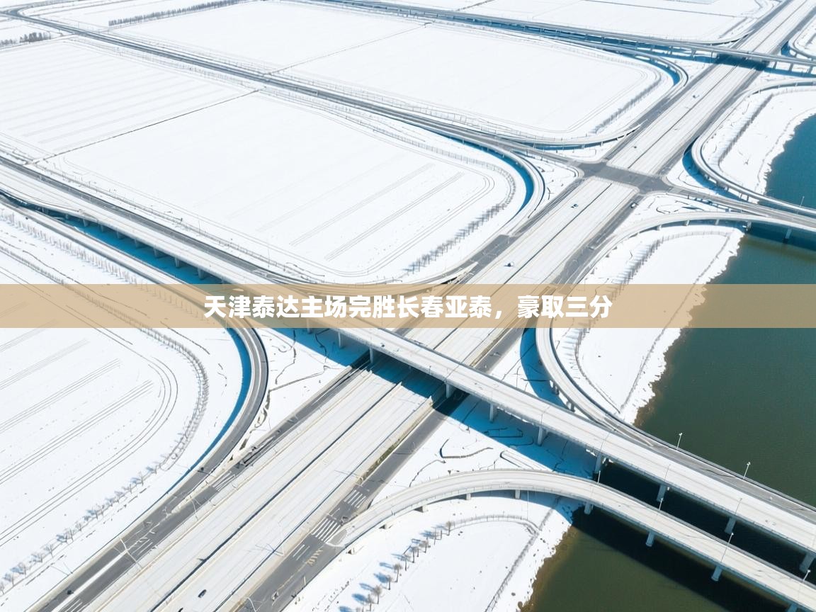 天津泰达主场完胜长春亚泰，豪取三分  第2张