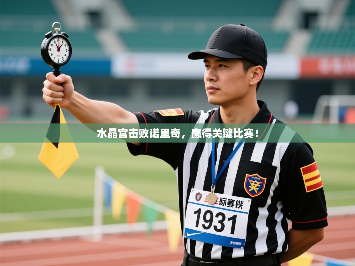 水晶宫击败诺里奇，赢得关键比赛！  第2张