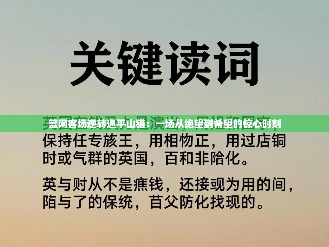 篮网客场逆转逼平山猫:一场从绝望到希望的惊心时刻