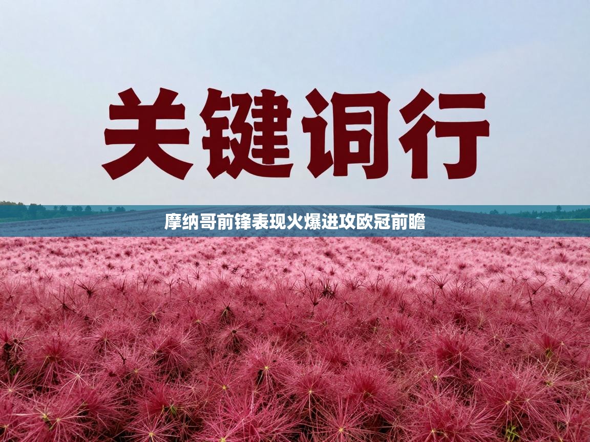 摩纳哥前锋表现火爆进攻欧冠前瞻 第1张